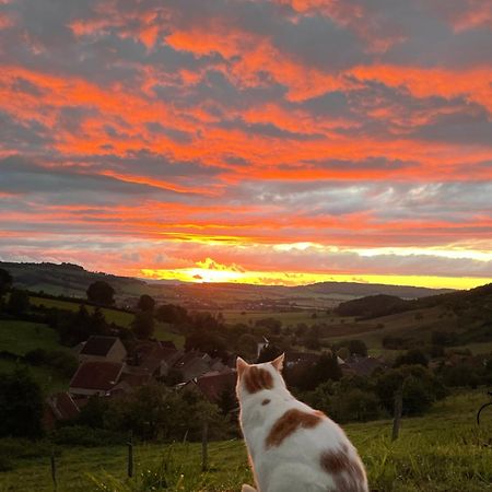 La Petite Maison Dans La Campagne Massingy-les-Vitteaux Exterior foto